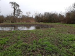 Charvil Backwater - Feb 2021